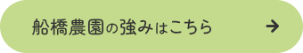 船橋農園の強みはこちら